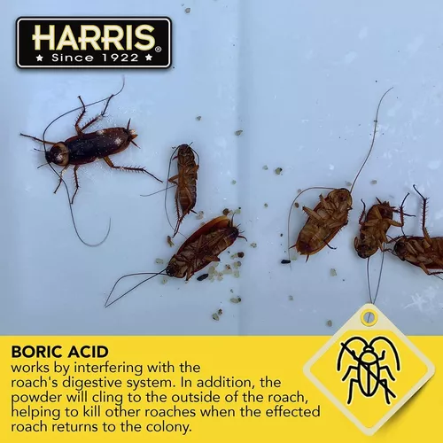 Insecticida Polvo Harris Para Chiripas Y Cucarachas